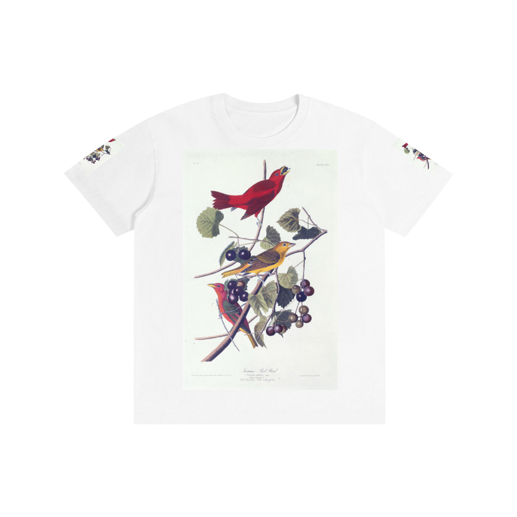 Pure Cotton Unisex T-Shirt