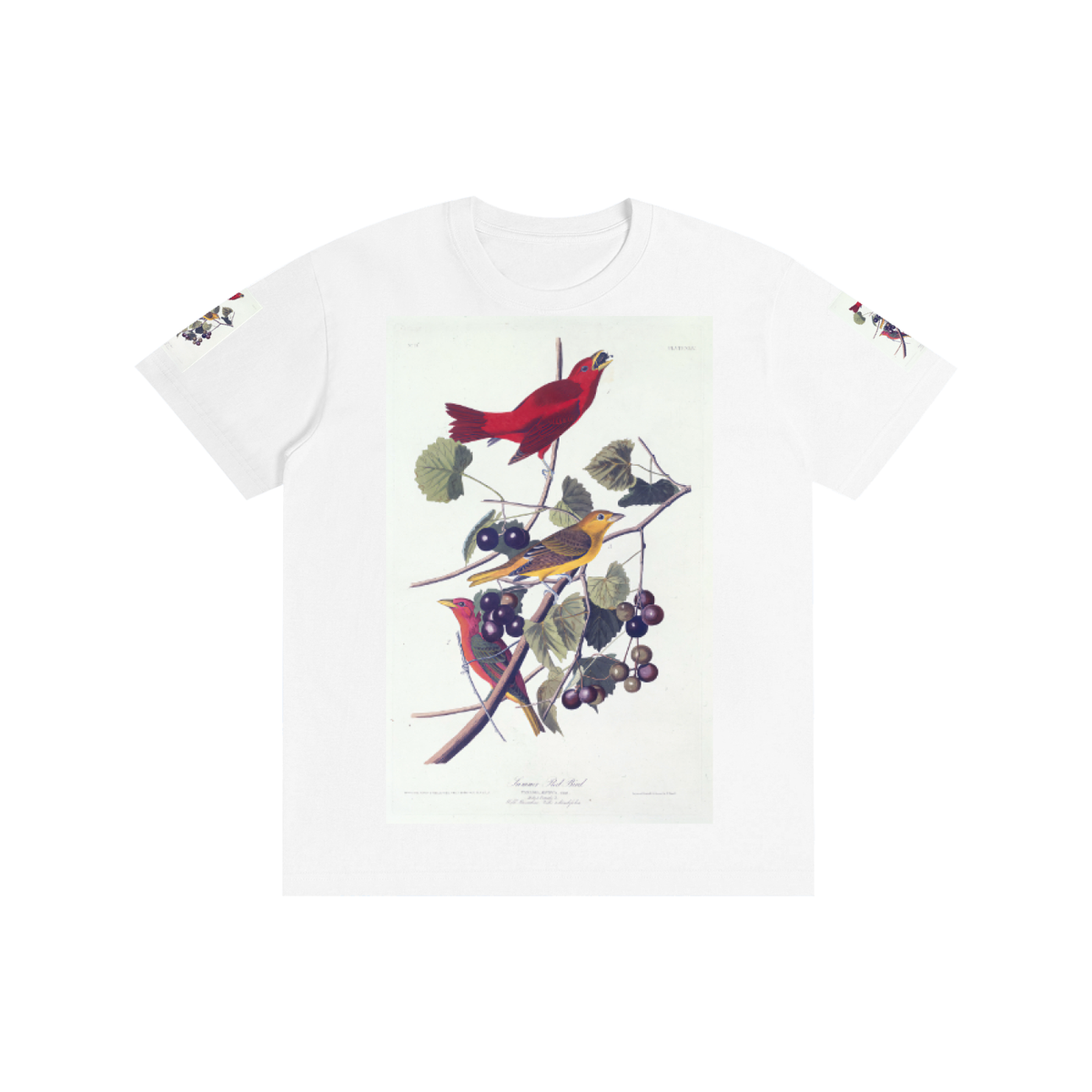 Pure Cotton Unisex T-Shirt